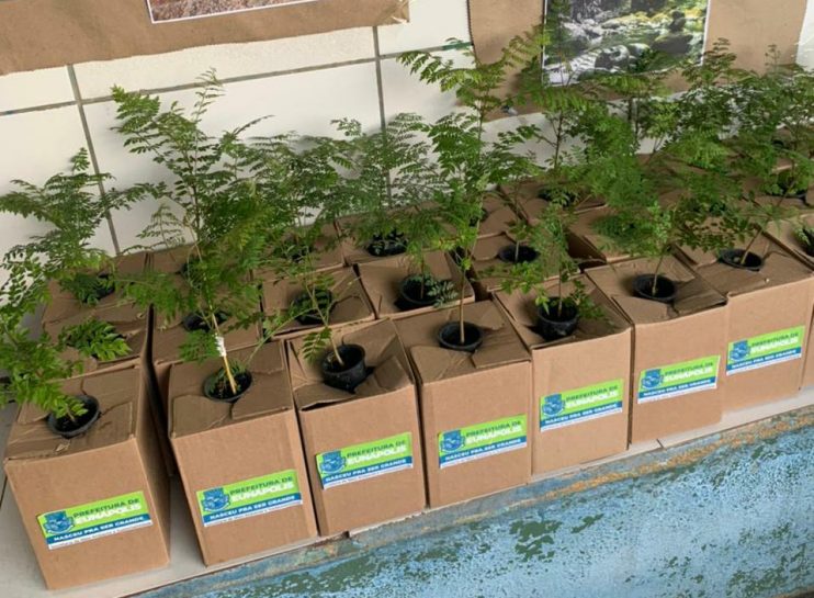 Prefeita Cordélia Torres sanciona Projeto de Lei “Programa Plante Uma Árvore” 23
