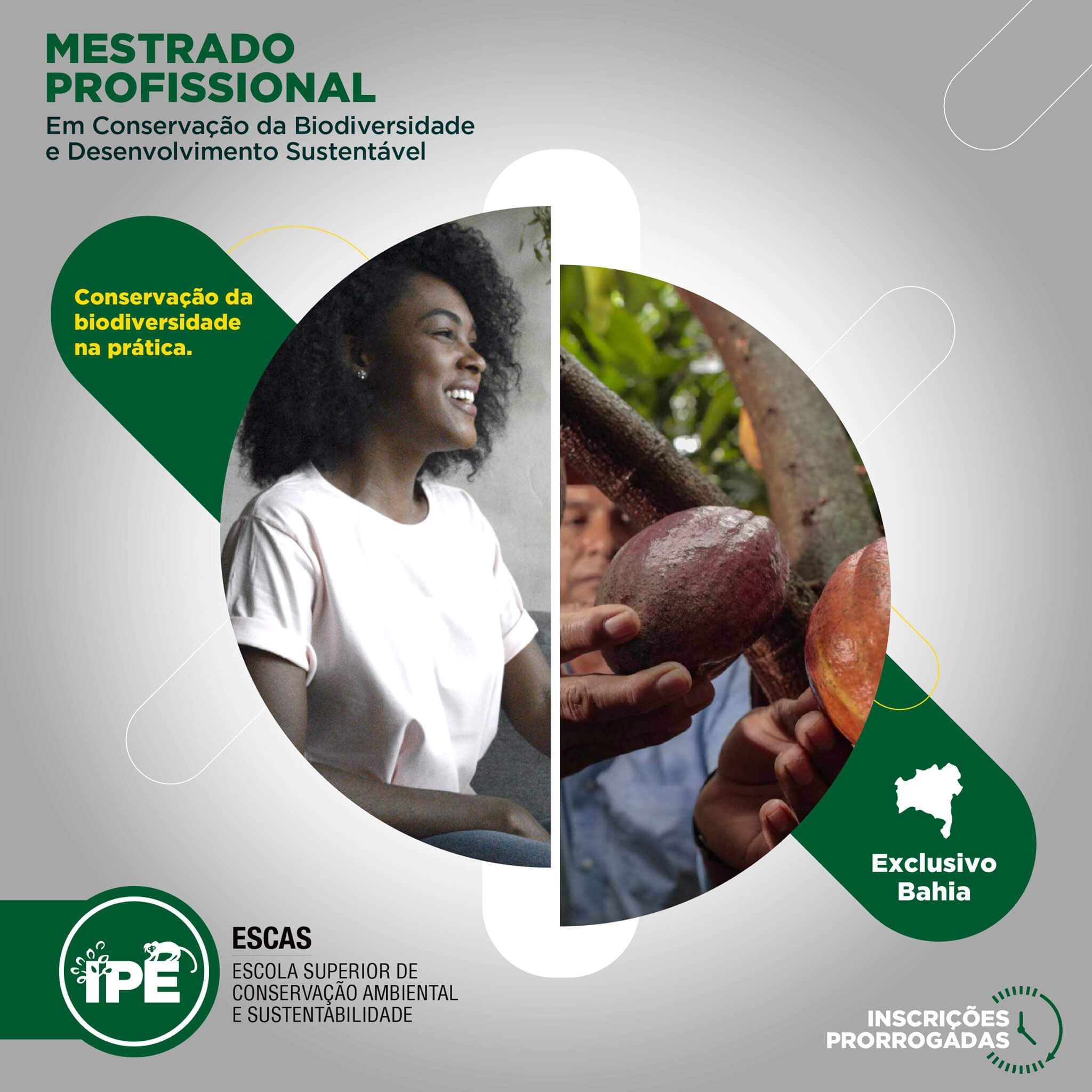 Instituto IPÊ prorroga inscrições para Mestrado Profissional em Conservação da Biodiversidade e Desenvolvimento Sustentável que possui parte presencial realizada na RPPN Estação Veracel 5