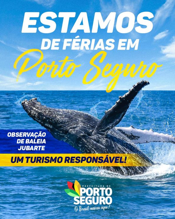 Baleias Jubartes já estão na costa de Porto Seguro 5