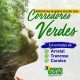 PREFEITURA DE PORTO SEGURO CRIA “CORREDORES VERDES”, EM ESTRADAS DO ARRAIAL, TRANCOSO E CARAÍVA 17