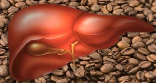 Beber café diariamente reduz o risco de morrer por doenças no fígado 8