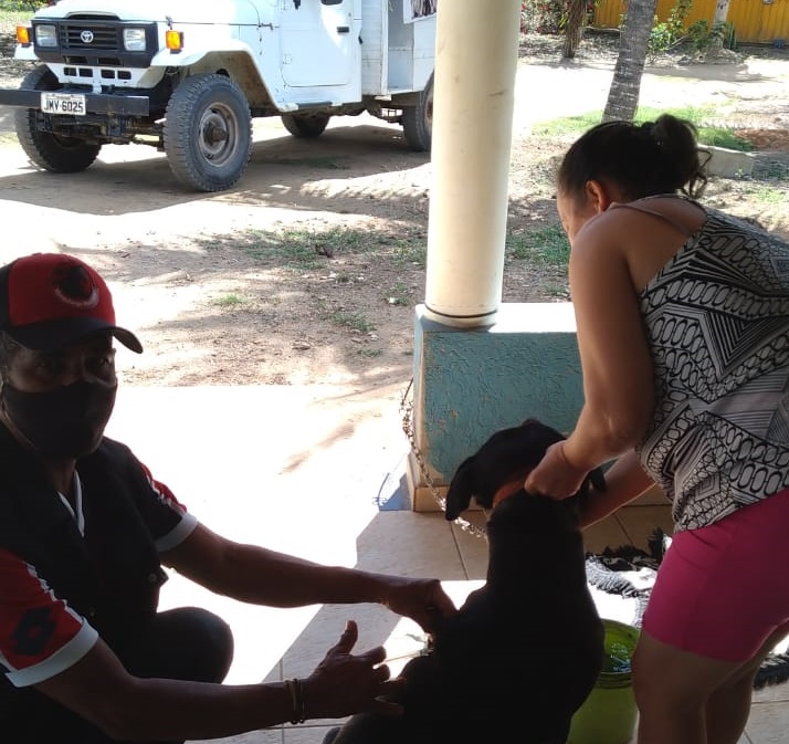 Eunápolis: CCZ vacina cães e gatos da zona rural contra a raiva 6