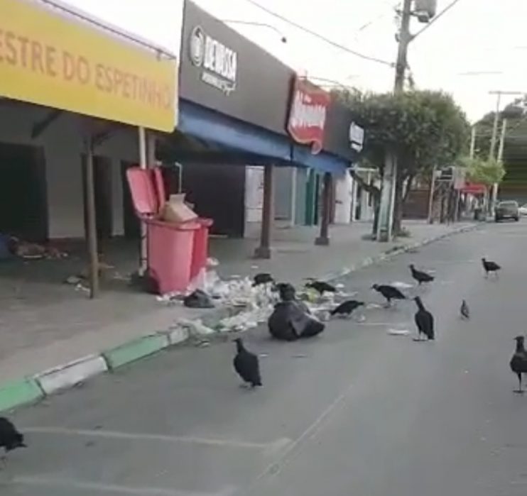 Ações de vândalos e descarte incorreto de lixo geram poluição em Eunápolis 9