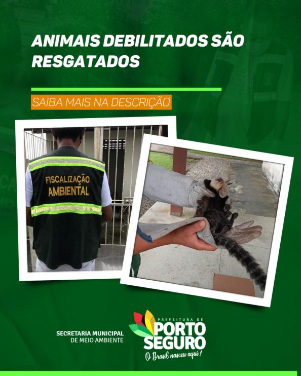 Animais debilitados são resgatados em Porto Seguro 9