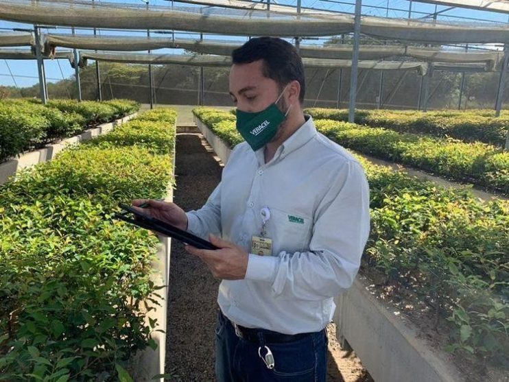 Veracel amplia o uso de tecnologias de gestão em seu viveiro de mudas 5