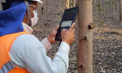 Veracel implementa sensores IoT para monitoramento do crescimento de suas florestas de eucalipto 45