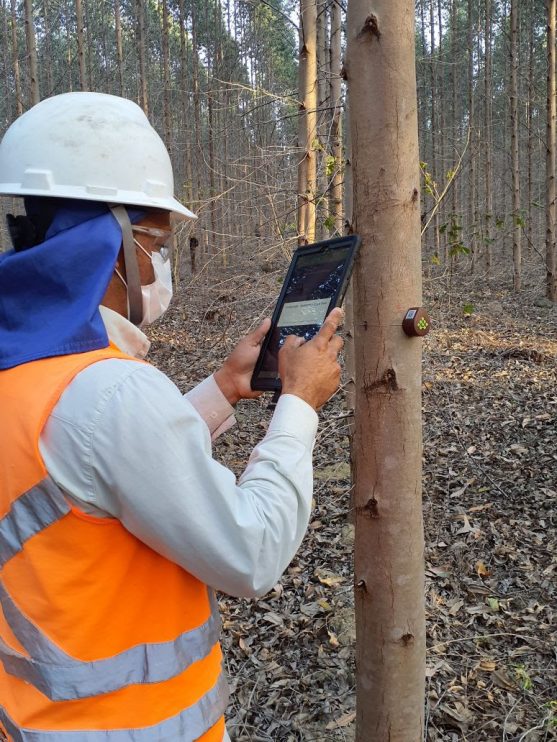 Veracel implementa sensores IoT para monitoramento do crescimento de suas florestas de eucalipto 4