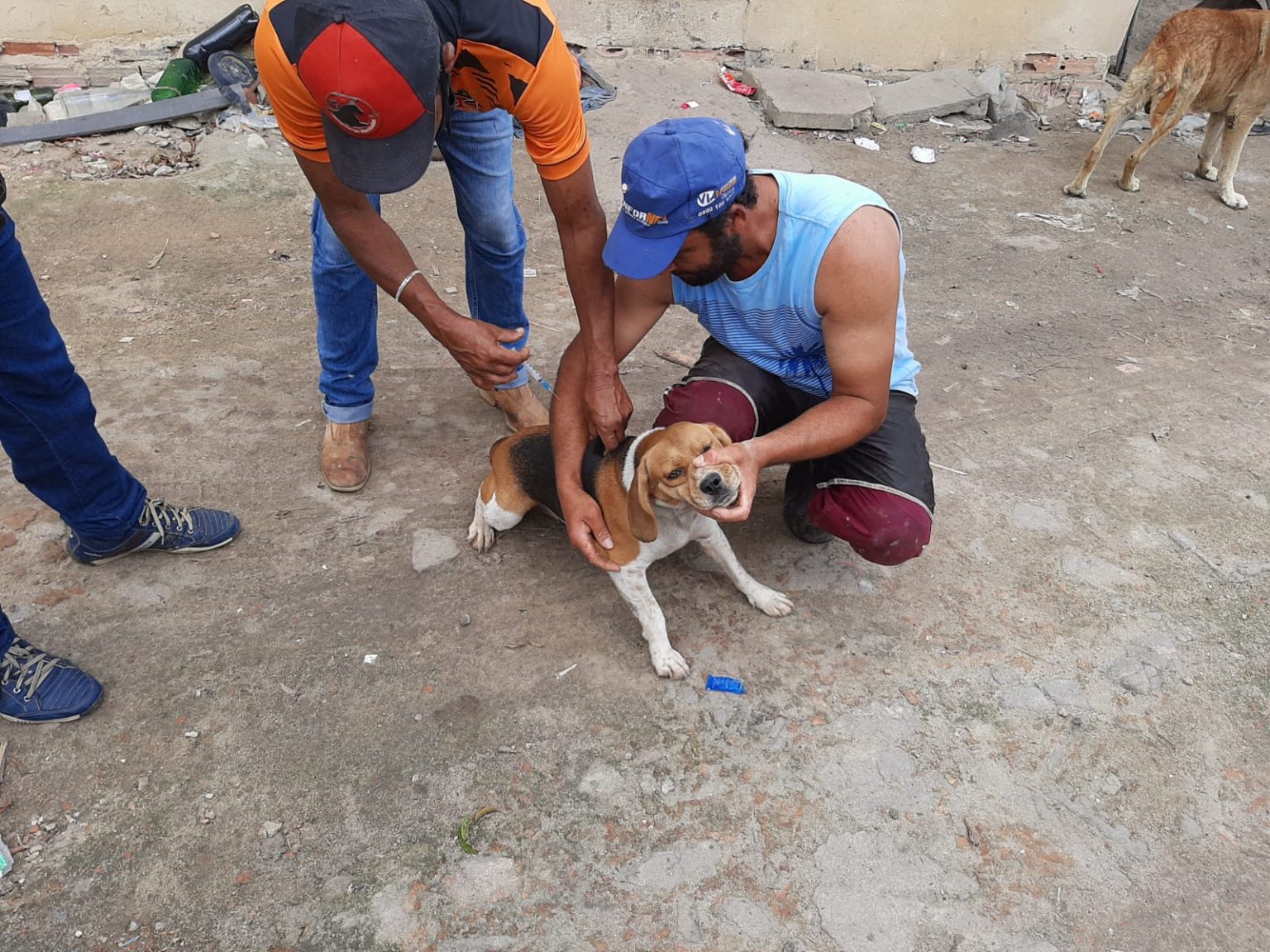 Campanha de Vacinação Antirrábica imuniza 100 animais no primeiro dia de ação na zona rural 5