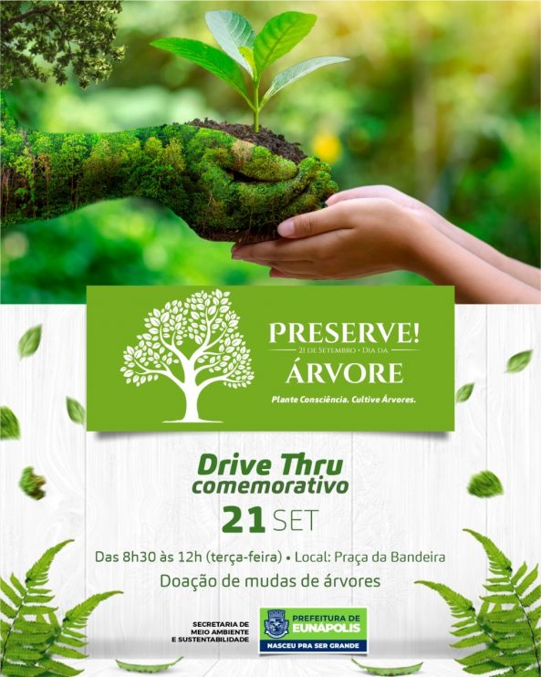 Dia da Árvore: Secretaria de Meio Ambiente distribui mudas de plantas nesta terça-feira 7