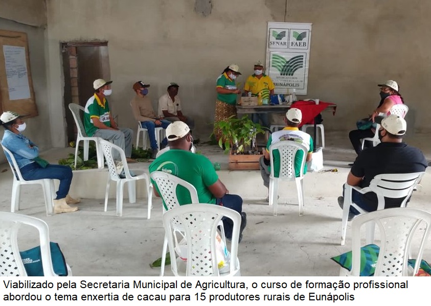 Secretaria de Agricultura viabiliza curso de formação sobre enxertia do cacau para produtores rurais 5