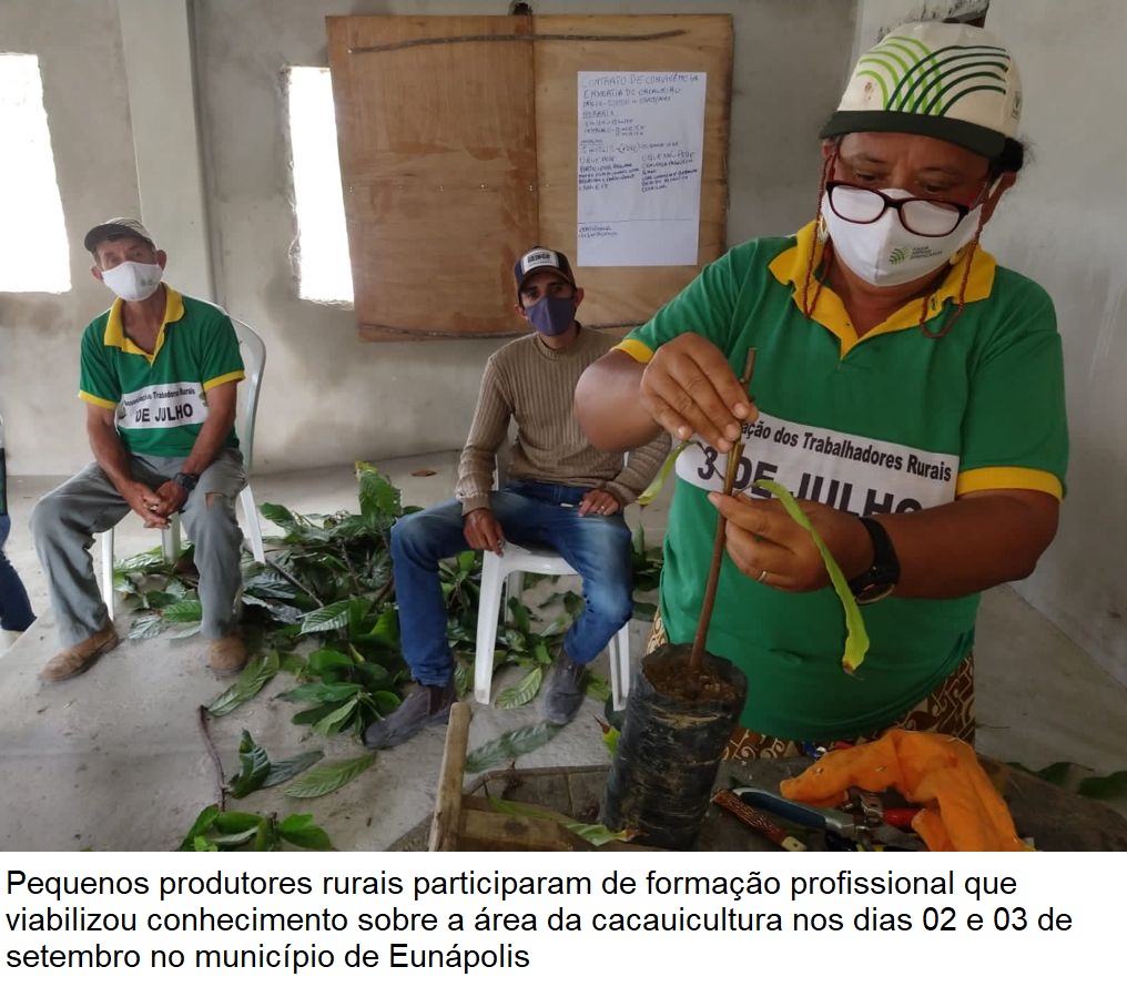 Secretaria de Agricultura viabiliza curso de formação sobre enxertia do cacau para produtores rurais 6
