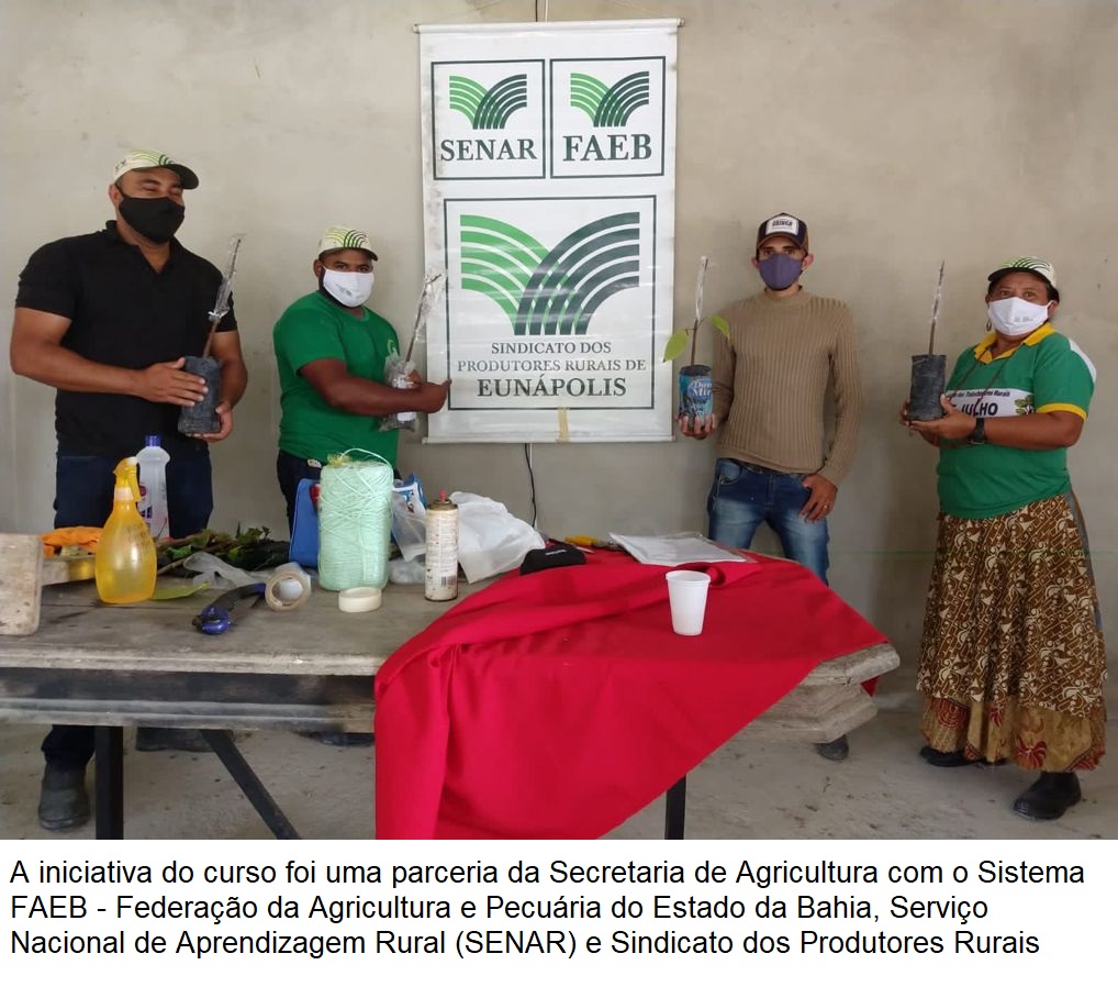 Secretaria de Agricultura viabiliza curso de formação sobre enxertia do cacau para produtores rurais 7
