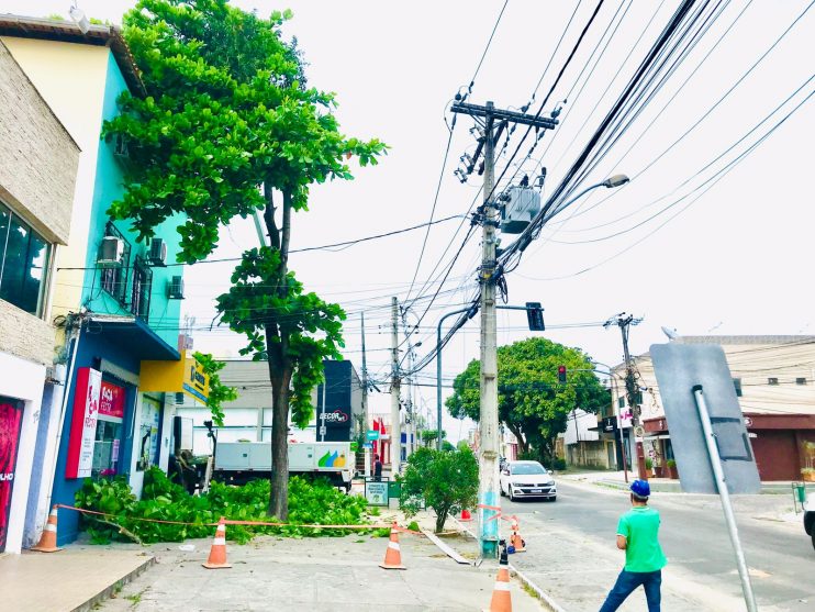 Prefeitura de Eunápolis remove árvore que oferecia risco à população Prefeitura de Eunápolis remove árvore que oferecia risco à população 8