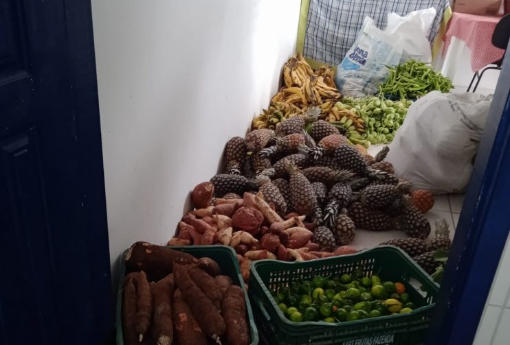 Secretaria de Agricultura prossegue ações do PAA com distribuição de alimentos a entidades 8