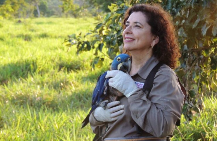 Bióloga brasileira que salvou araras-azuis da extinção entra para o Hall da Fama da ONU 5