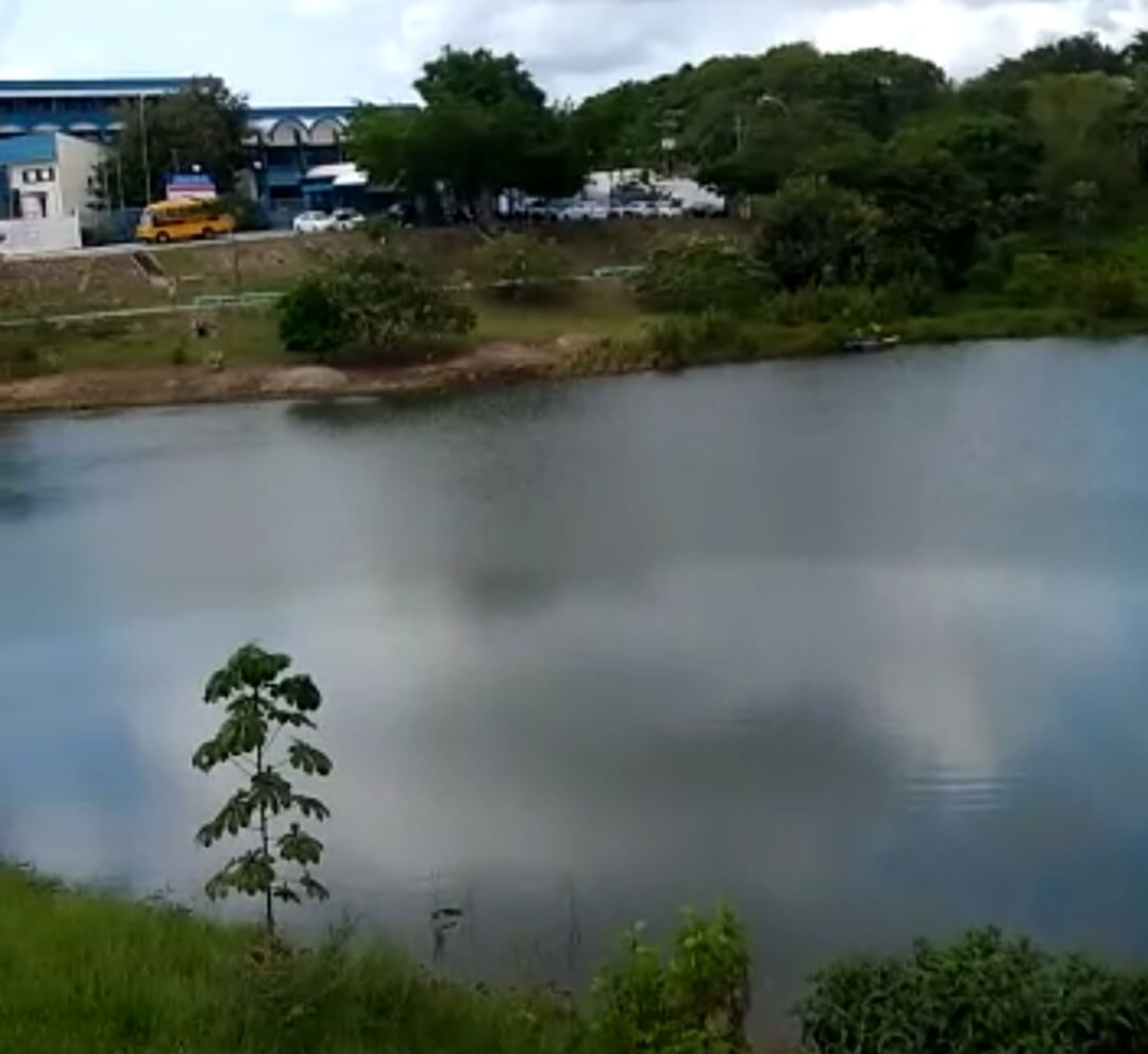 Secretaria de Serviços Públicos realiza limpeza de preservação na lagoa do Dinah Borges 7