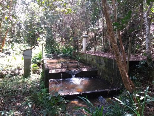 Manejo de florestas de eucalipto não impacta a qualidade da água de microbacias: É o que revela resultados de 15 anos de monitoramento no Sul da Bahia 21