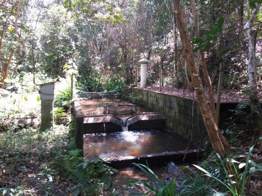 Manejo de florestas de eucalipto não impacta a qualidade da água de microbacias: É o que revela resultados de 15 anos de monitoramento no Sul da Bahia 8