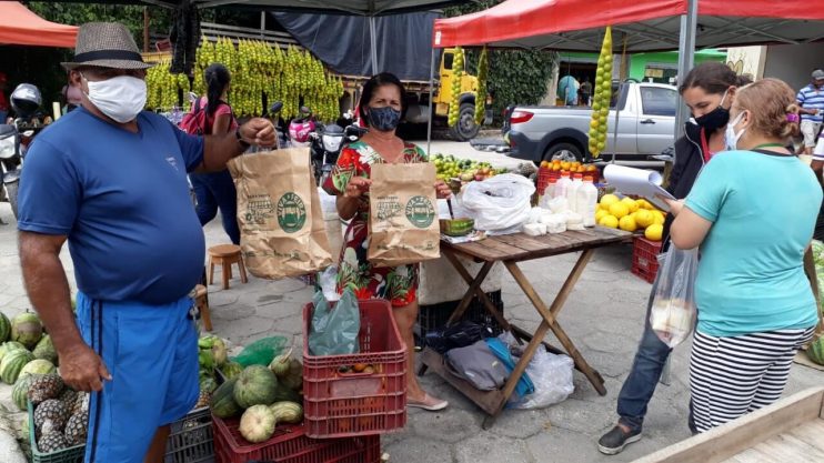 Novas feiras abrem oportunidades para pequenos agricultores 5