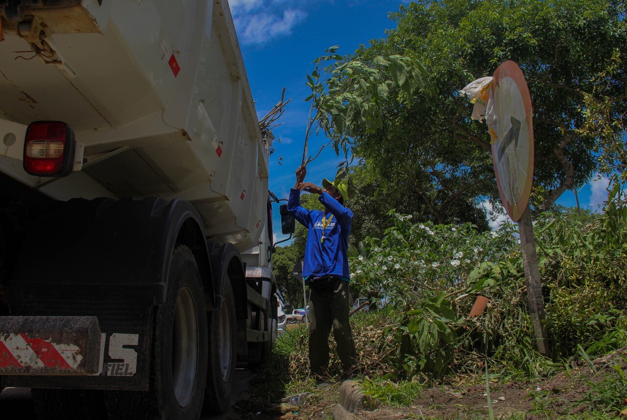 "Todos Contra o Mosquito" elimina focos de proliferação do Aedes Aegypti no bairro Motor 7