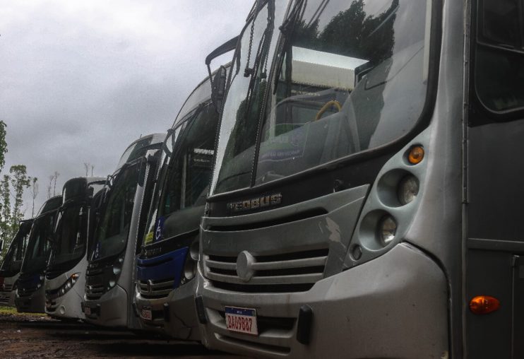 Prefeitura de Eunápolis renova frota de transporte escolar ofertando cerca de 80 veículos para estudantes da rede pública municipal 13