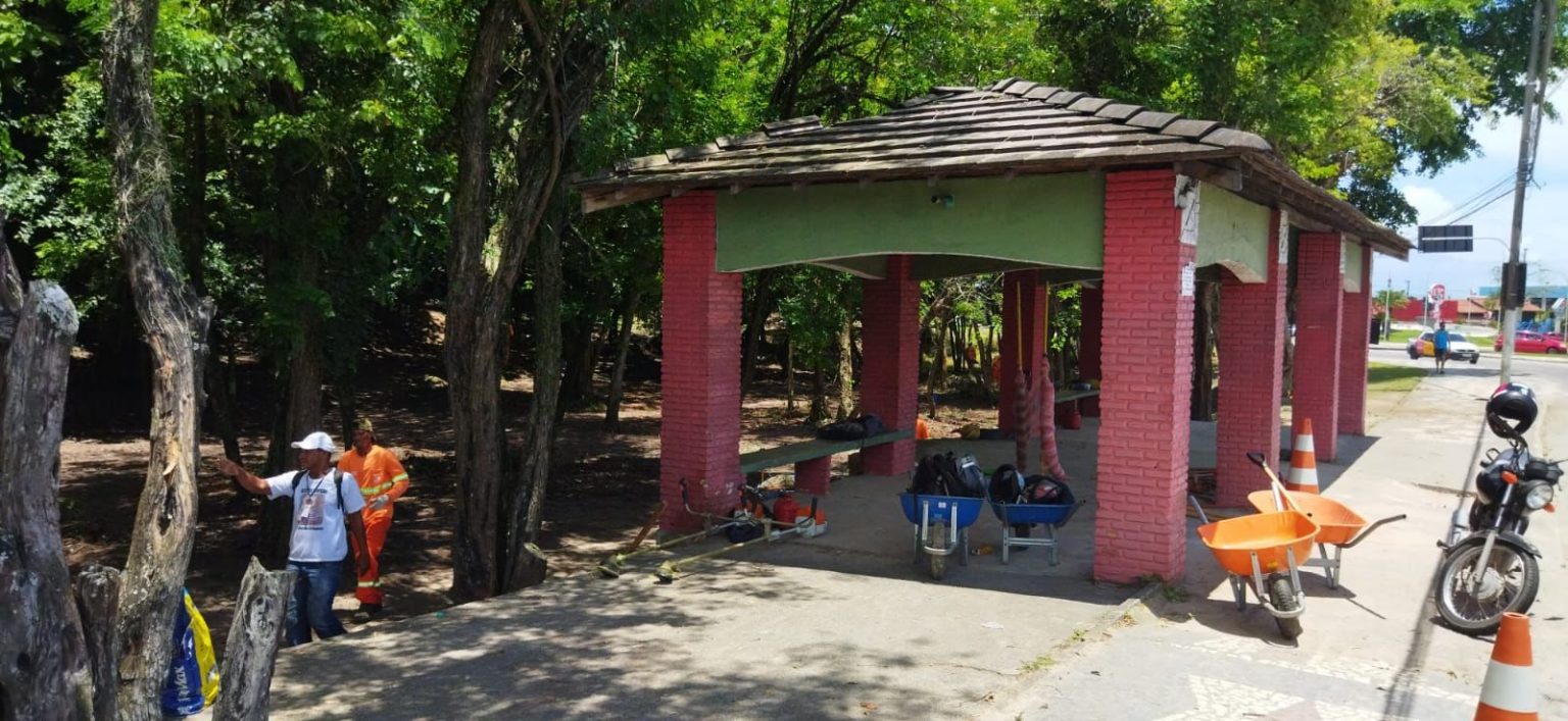 Paisagismo e bosqueamento torna ladeira na entrada da cidade mais bonita e segura 8