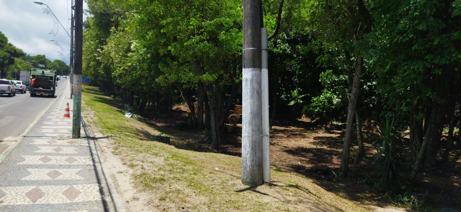 Paisagismo e bosqueamento torna ladeira na entrada da cidade mais bonita e segura 8