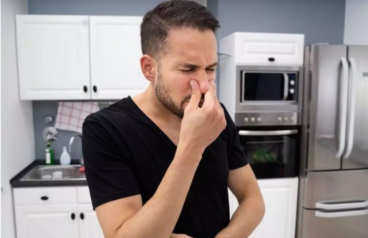 Cheiro de fritura: como fazer misturinha caseira para eliminar rapidamente Cheiro de fritura: como fazer misturinha caseira para eliminar rapidamente 8