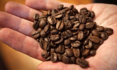 Café pode ter maior preço em mais de 25 anos com problemas na produção 36