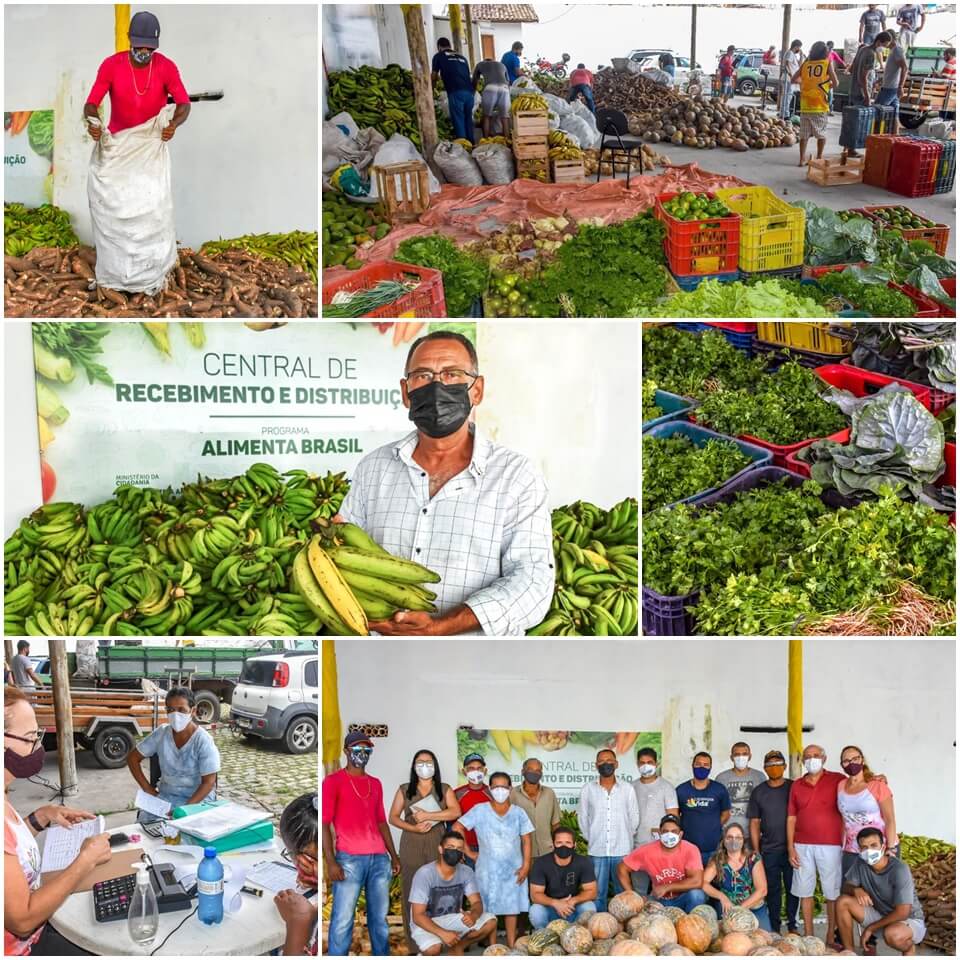 1ª entrega de alimentos do Programa Alimenta Brasil beneficia agricultores e entidades sociais 18