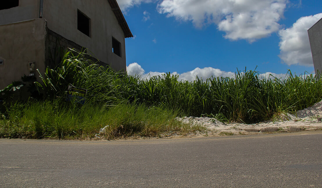 “Terreno Limpo, Cidade Limpa”: Prefeitura de Eunápolis pode cobrar para fazer limpeza em áreas particulares 9