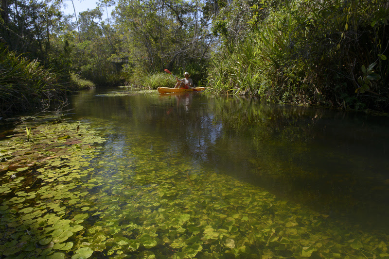 Estação Veracel e Rio do Brasil destacam a importância de corredores ecológicos e da sinergia entres RPPNs 5