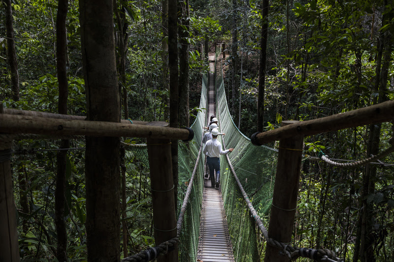 Estação Veracel e Rio do Brasil destacam a importância de corredores ecológicos e da sinergia entres RPPNs 6