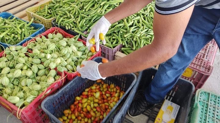 Nesta semana mais 33 entidades sociais foram beneficiadas pelo Alimenta Brasil 5