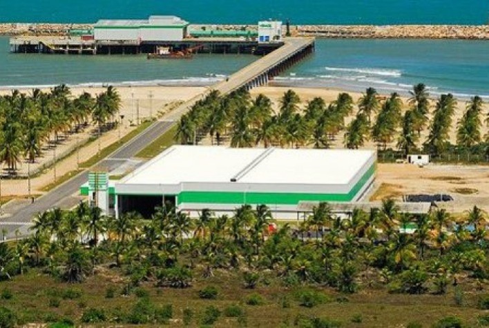 Veracel implementa sistema para controle de dados de pesquisa de melhoramento genético 5