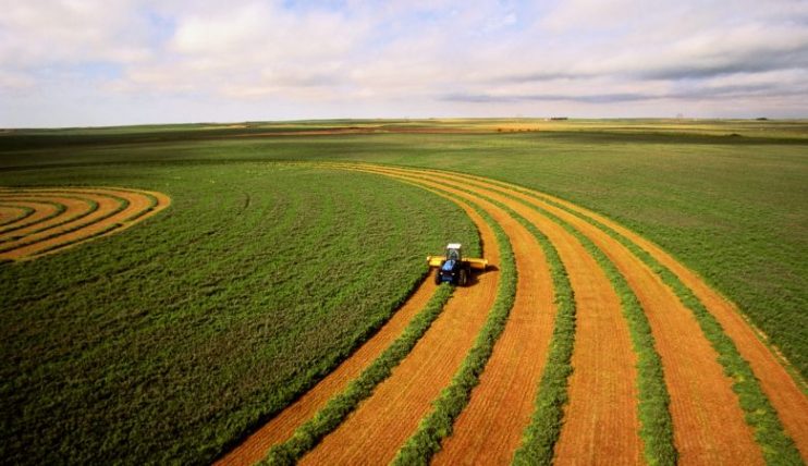 Rede Brasil do Pacto Global da ONU lança Guia de Boas Práticas Anticorrupção da Agroindústria 5