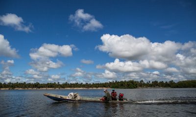 Veracel e Conservação Internacional trabalham juntas para o fortalecimento da Cadeia Produtiva da Pesca no Sul da Bahia 51