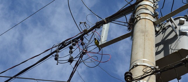Aneel e Anatel estudam reduzir emaranhado de fios e cabos em postes de energia do Brasil 5