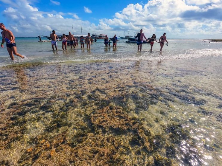 Programa Educação Ambiental no município leva estudantes ao Parque Natural Municipal Marinho do Recife de Fora 13