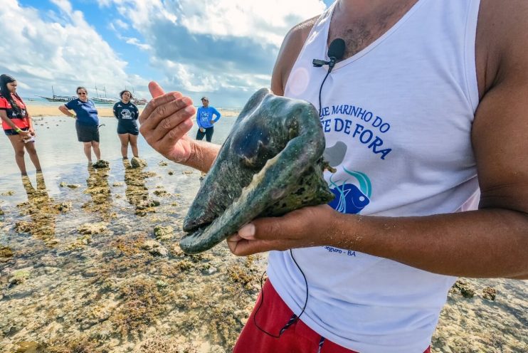 Programa Educação Ambiental no município leva estudantes ao Parque Natural Municipal Marinho do Recife de Fora 17