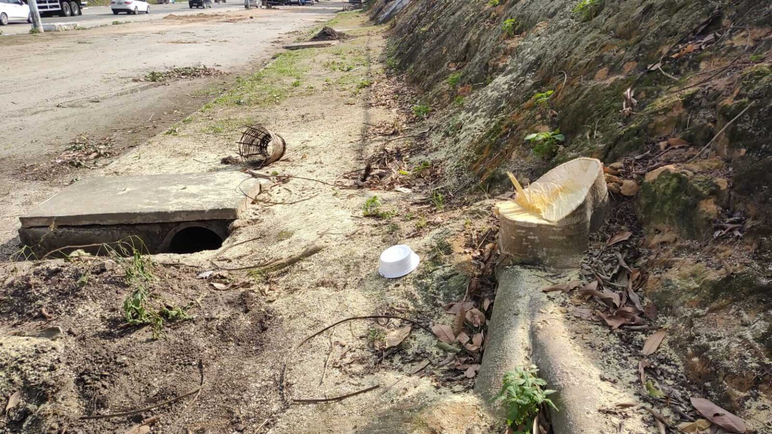 Secretaria de Serviços Públicos remove árvores às margens da BR-367 que comprometiam segurança da população Secretaria de Serviços Públicos remove árvores às margens da BR-367 que comprometiam segurança da população 9