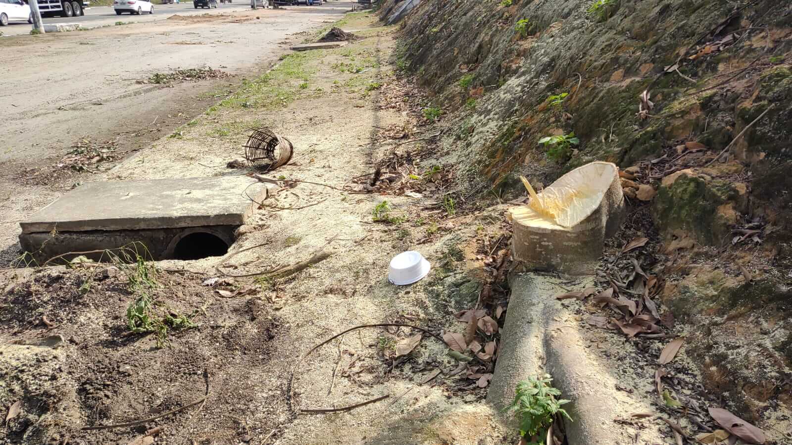 Secretaria de Serviços Públicos remove árvores às margens da BR-367 que comprometiam segurança da população 43