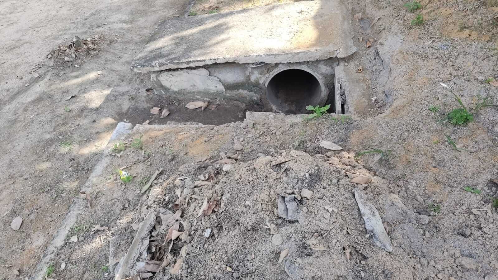 Secretaria de Serviços Públicos remove árvores às margens da BR-367 que comprometiam segurança da população 44