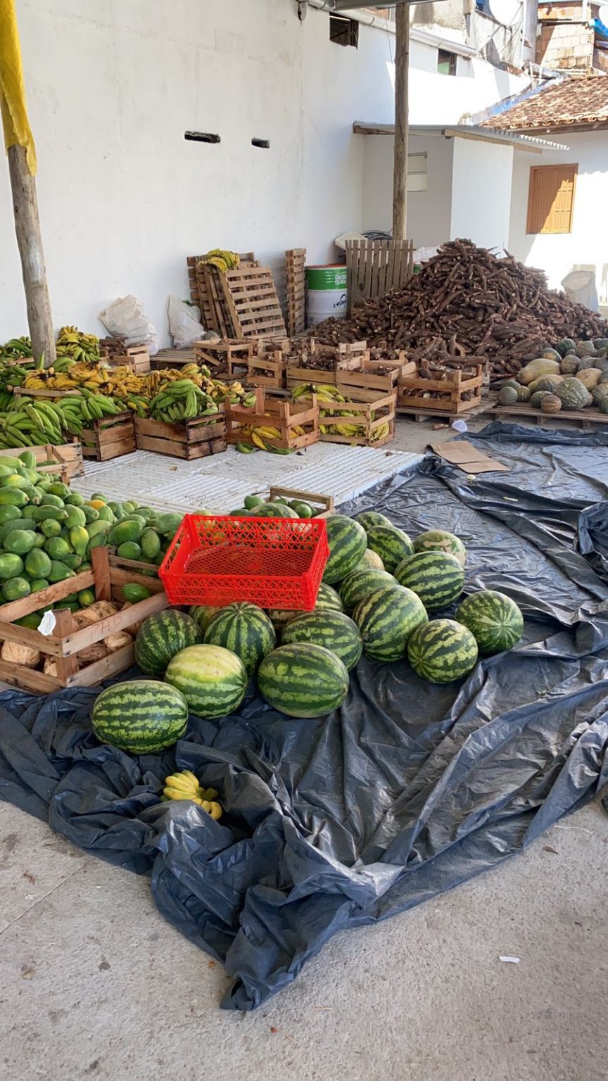 Alimenta Brasil em Porto Seguro se destaca pela qualidade e logística eficiente 7