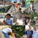 Prefeitura de Eunápolis realiza Feira de Adoção com animais resgatados pelo Centro de Controle de Zoonoses 34