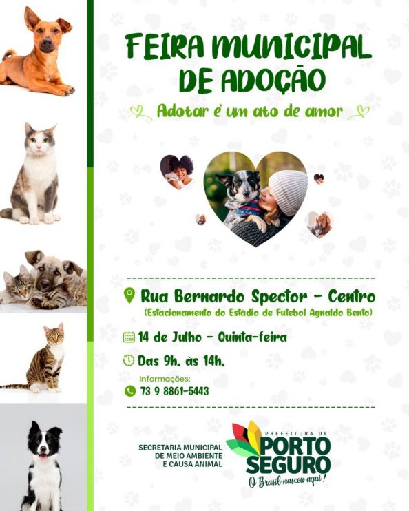 Adotar um animal de estimação é um gesto de amor 5