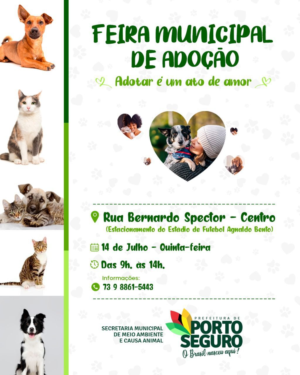 Adotar um animal de estimação é um gesto de amor 2