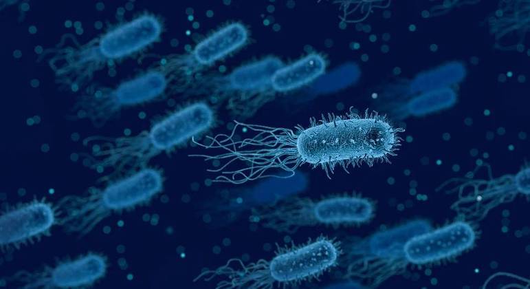 Bactéria que causa doença rara é encontrada em amostras de solo e água nos EUA 8