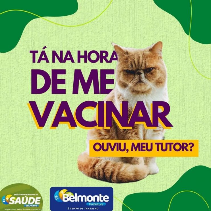 Belmonte: Prefeitura divulga a campanha de vacinação antirrábica, voltada para cães 12