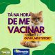 Belmonte: Prefeitura divulga a campanha de vacinação antirrábica, voltada para cães 37